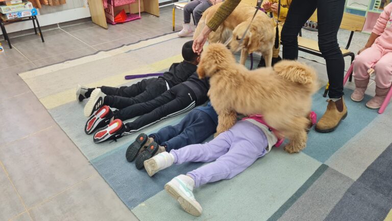 טיפול בכלבים ניצן חדרה